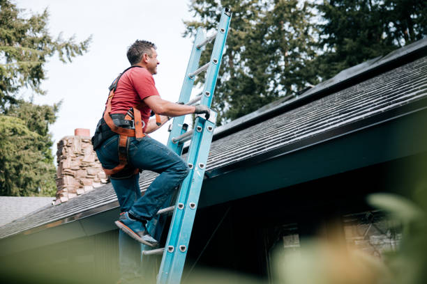 Best Roof Insulation Installation  in Midvale, UT